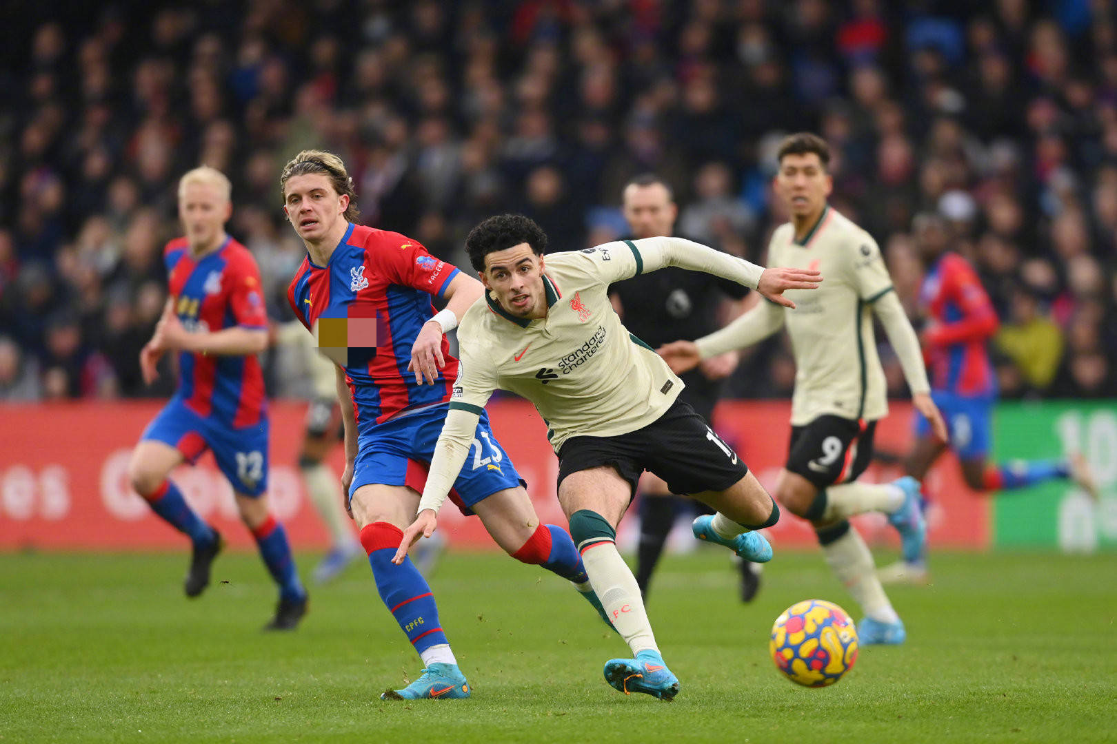 表现来决定 表现来决定